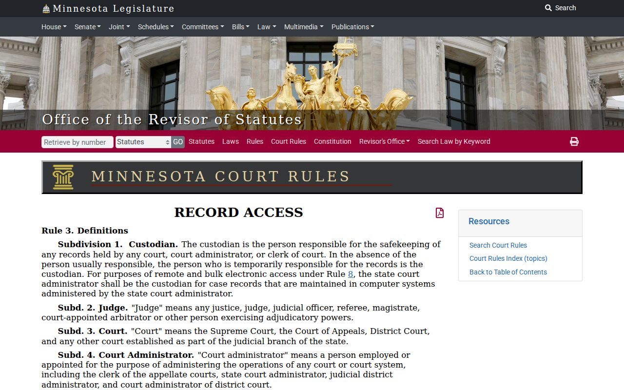 Wabasha County civil docket court record custodian rule