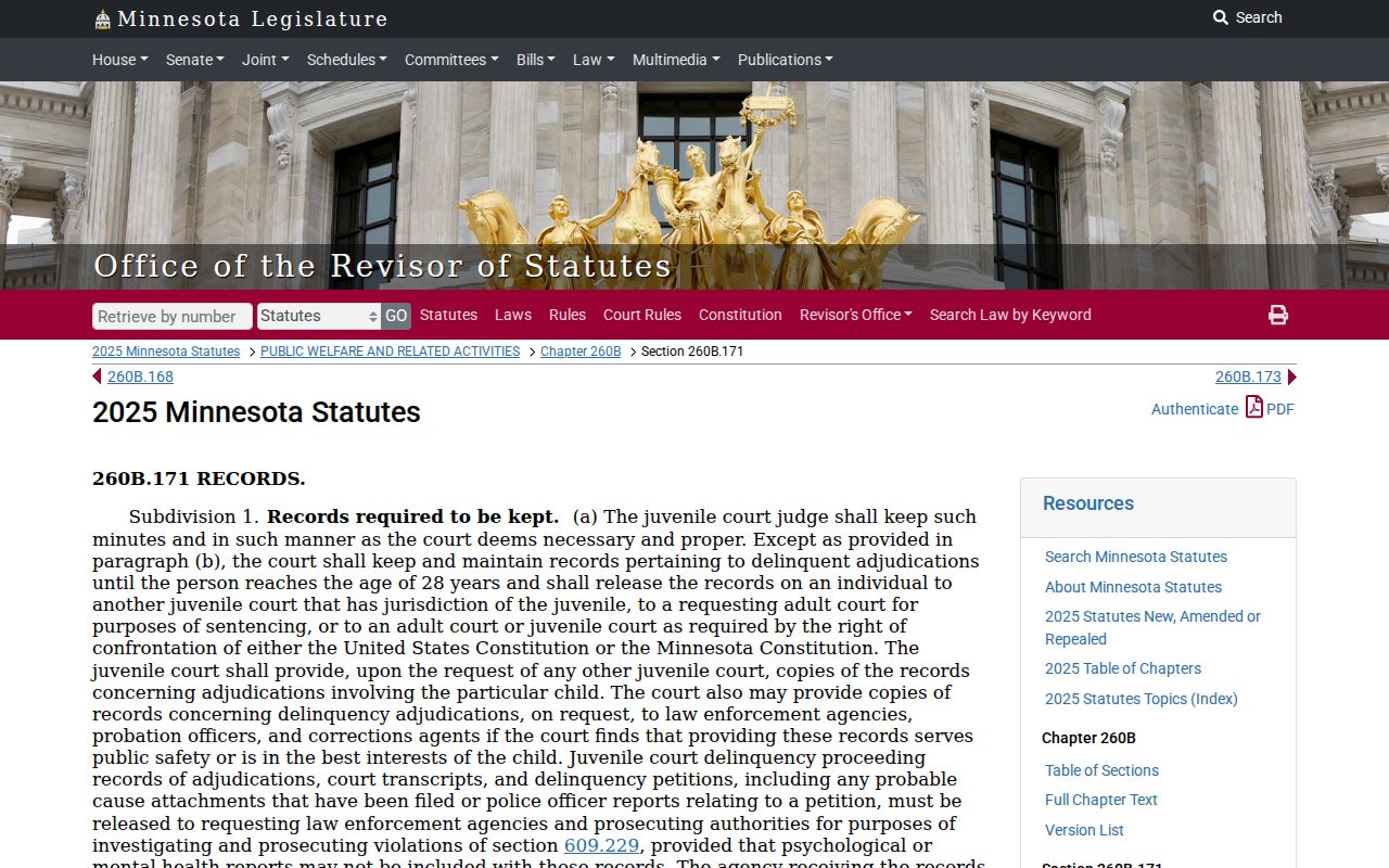 Wabasha County criminal docket juvenile record access limits